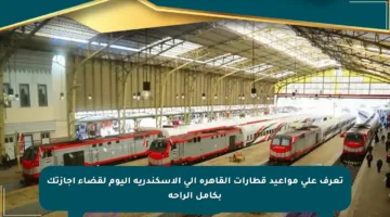 تعرف على مواعيد قطارات القاهرة إلى الإسكندرية اليوم لقضاء أجازتك بكامل الراحة